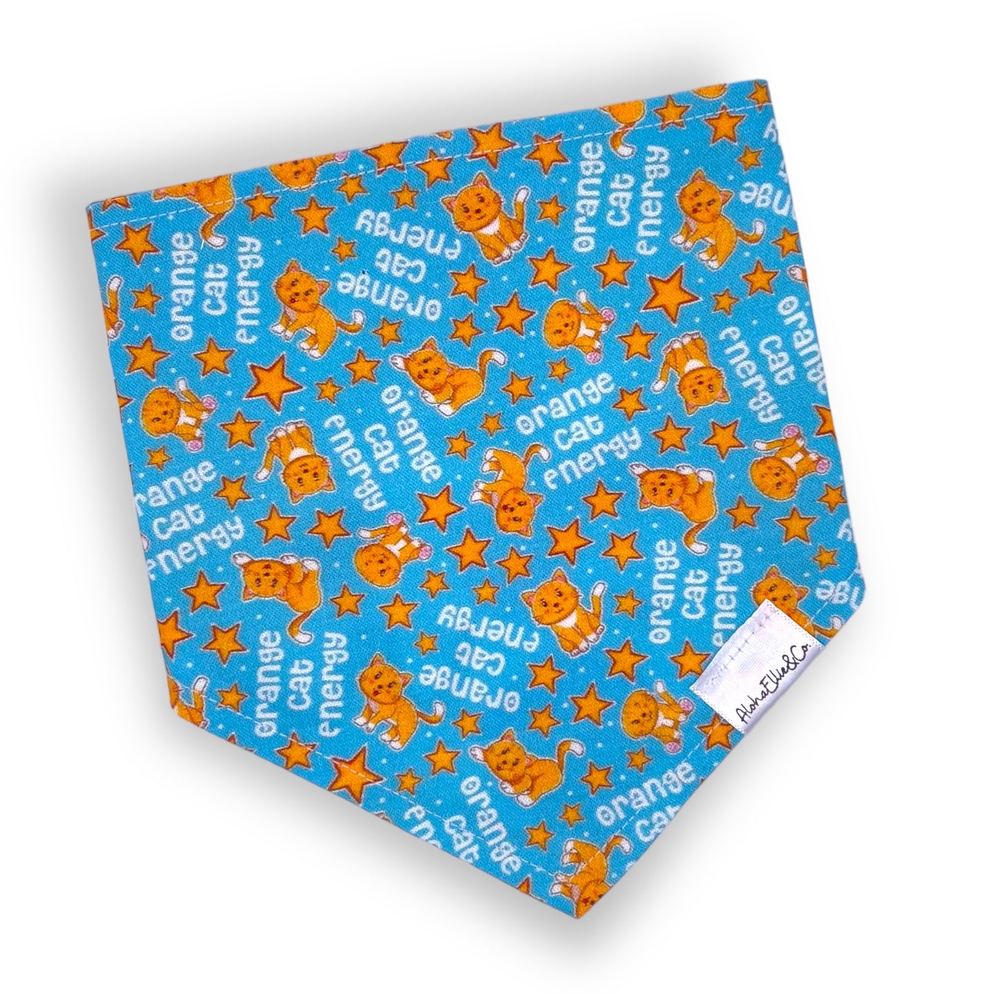 orange cat bandana