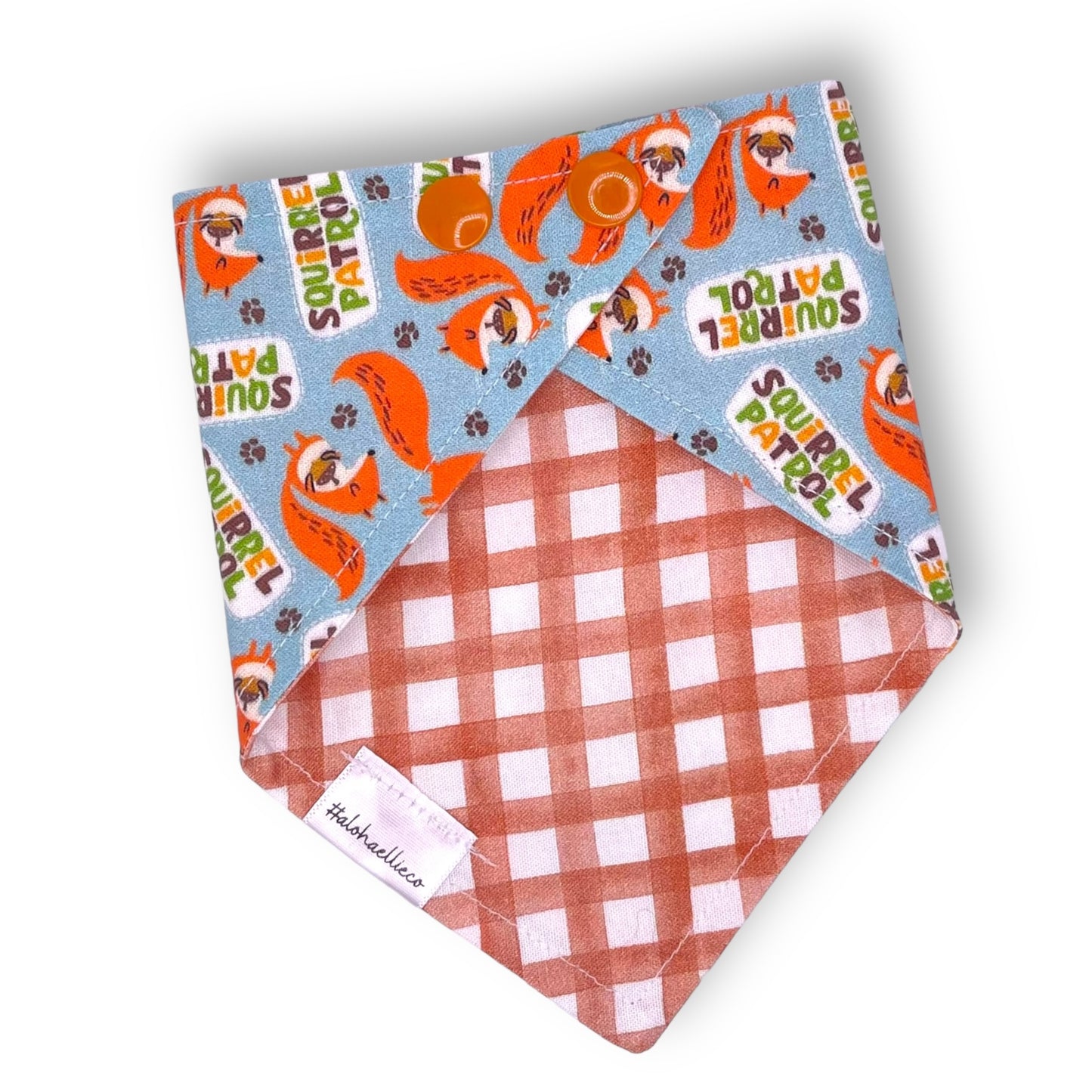 Squirrel Patrol Reversible Pet Bandana