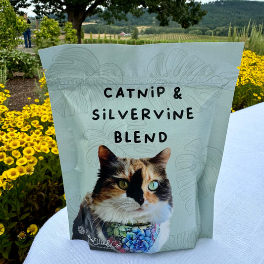 Catnip and Silvervine Blend