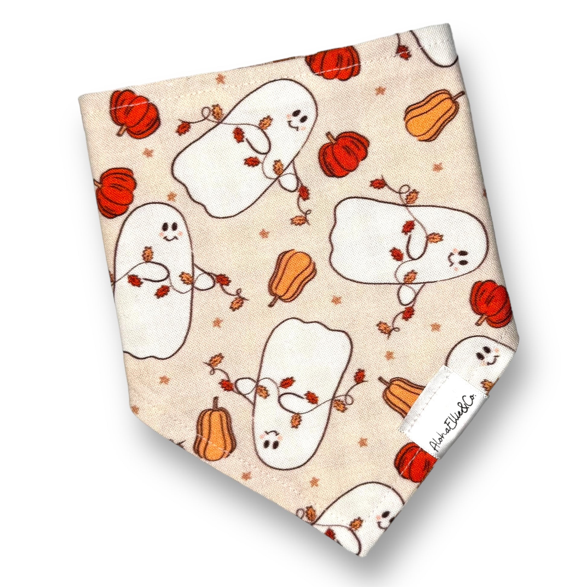 Autumn ghouls pet bandana