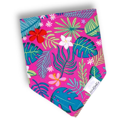 Paradise Reversible Pet Bandana